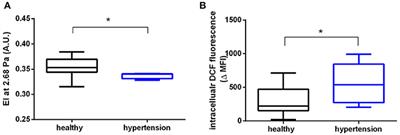 On the Effects of Reactive Oxygen Species and Nitric Oxide on Red Blood Cell Deformability